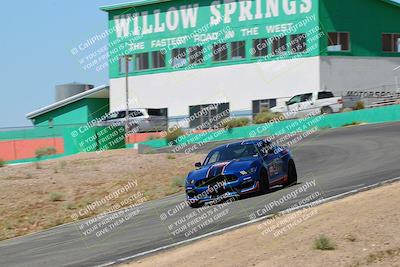 media/May-07-2022-Cobra Owners Club of America (Sat) [[e681d2ddb7]]/Blue/Session 1 (Turn 4)/